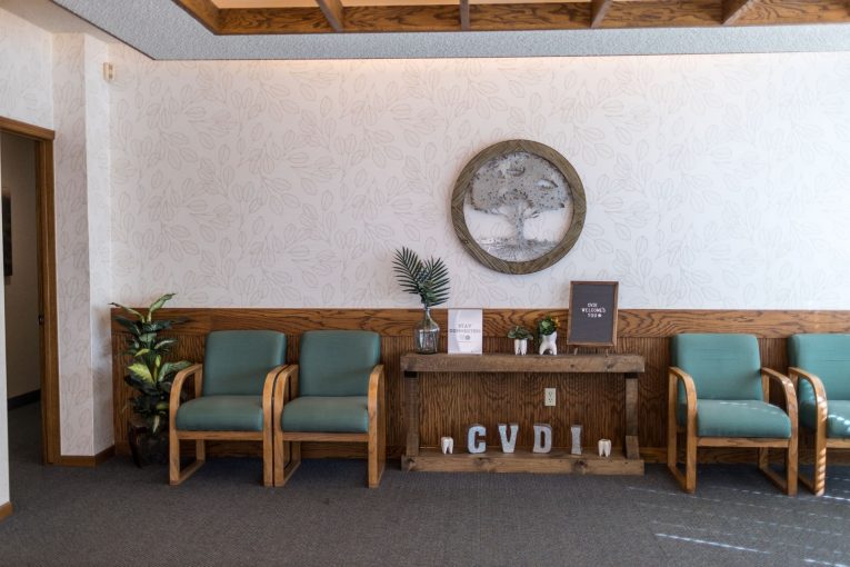 Waiting room: “CVDI” letters on wooden console, two teal chairs, plant, framed plaque.