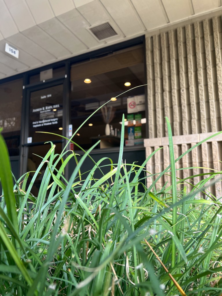 Fresno Office