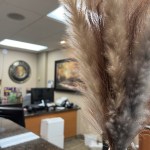 Close-up of decorative pampas grass in vase on counter; background shows reception desk and wall art