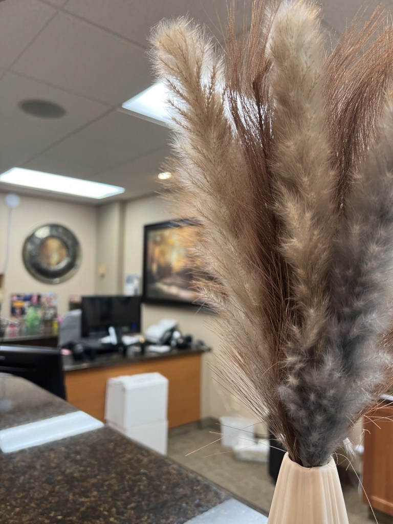 Close-up of decorative pampas grass in vase on counter; background shows reception desk and wall art